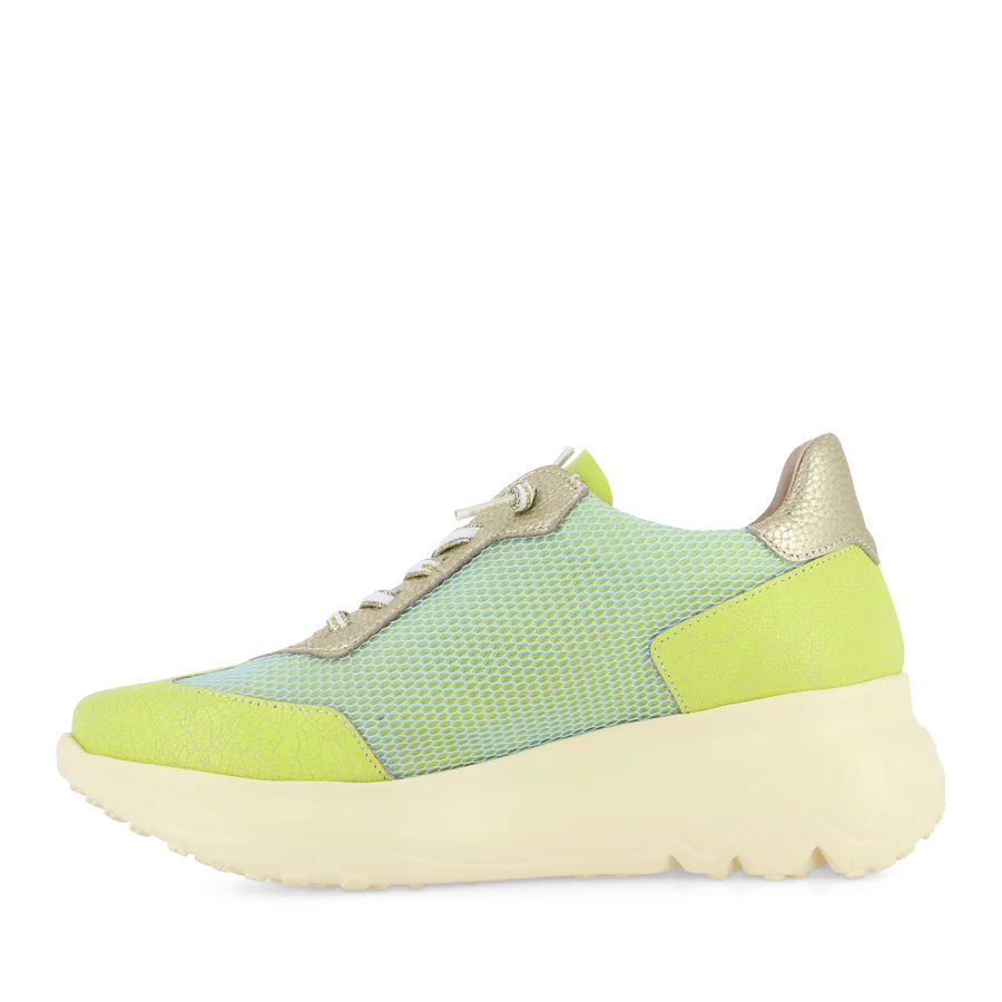 ALICE A-4001 - GREEN MULTI - Image 2