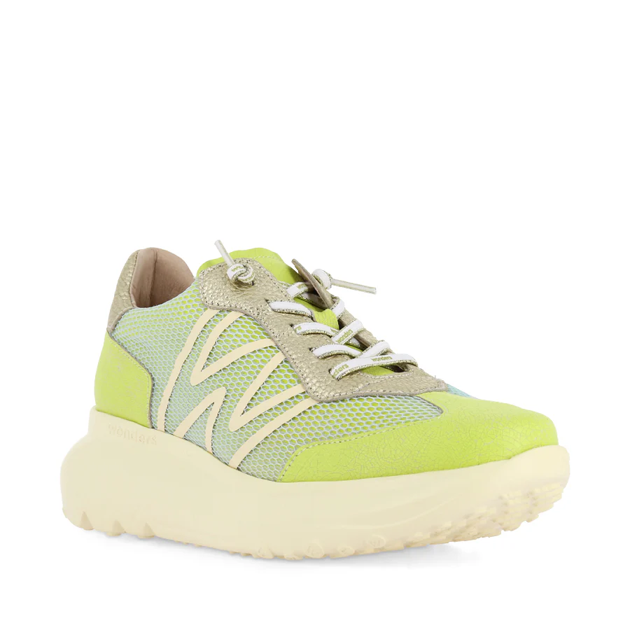ALICE A-4001 - GREEN MULTI - Image 3
