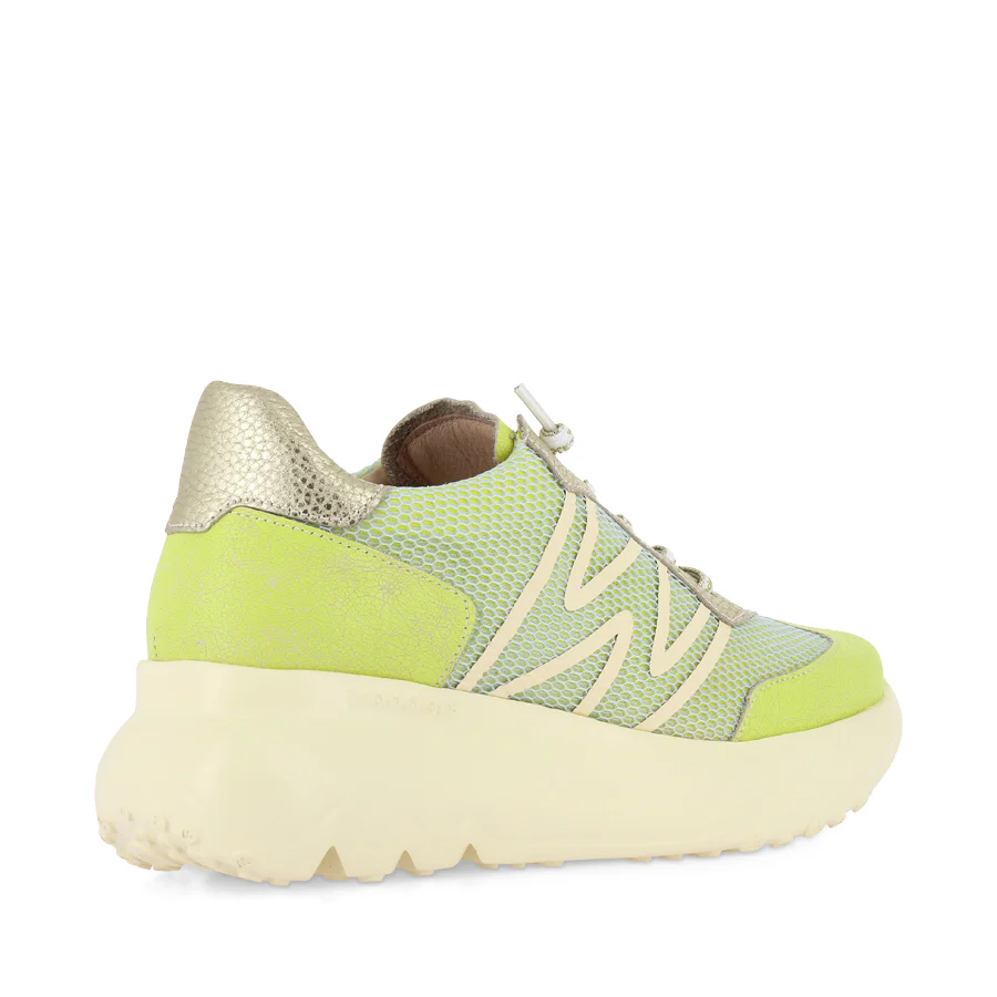 ALICE A-4001 - GREEN MULTI - Image 4