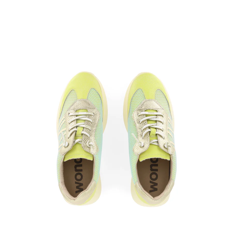 ALICE A-4001 - GREEN MULTI - Image 5