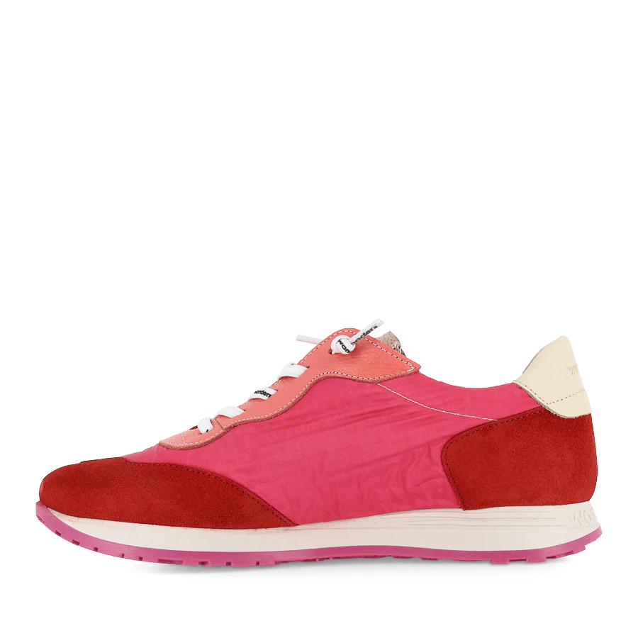 AVANTI A-4802 - FUSCHIA MULTI - Image 2