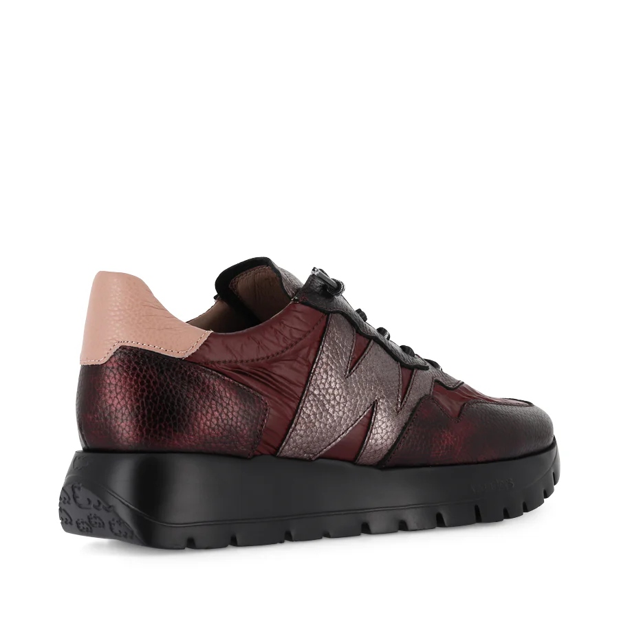 AVELYN A-2491 - BORDO/WINE MULTI COMBO - Image 4