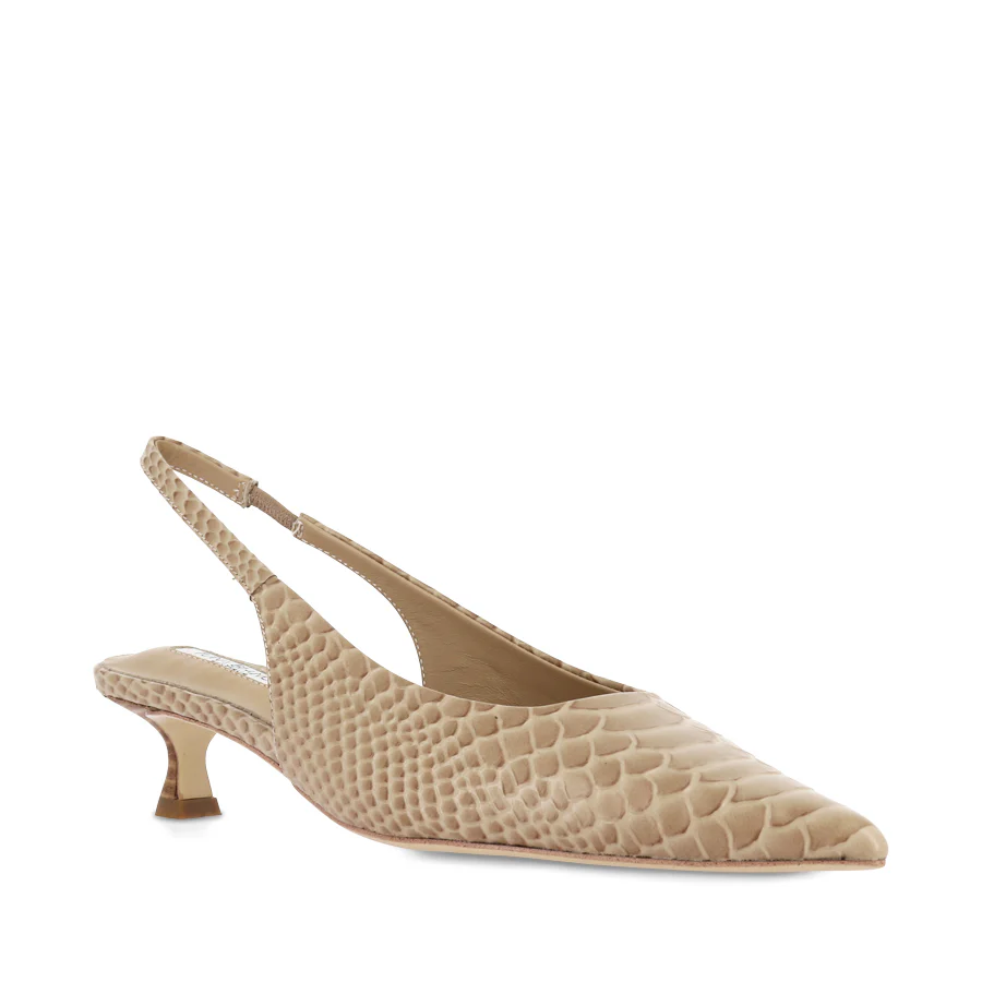 CATIE - TAN PYTHON - Image 3