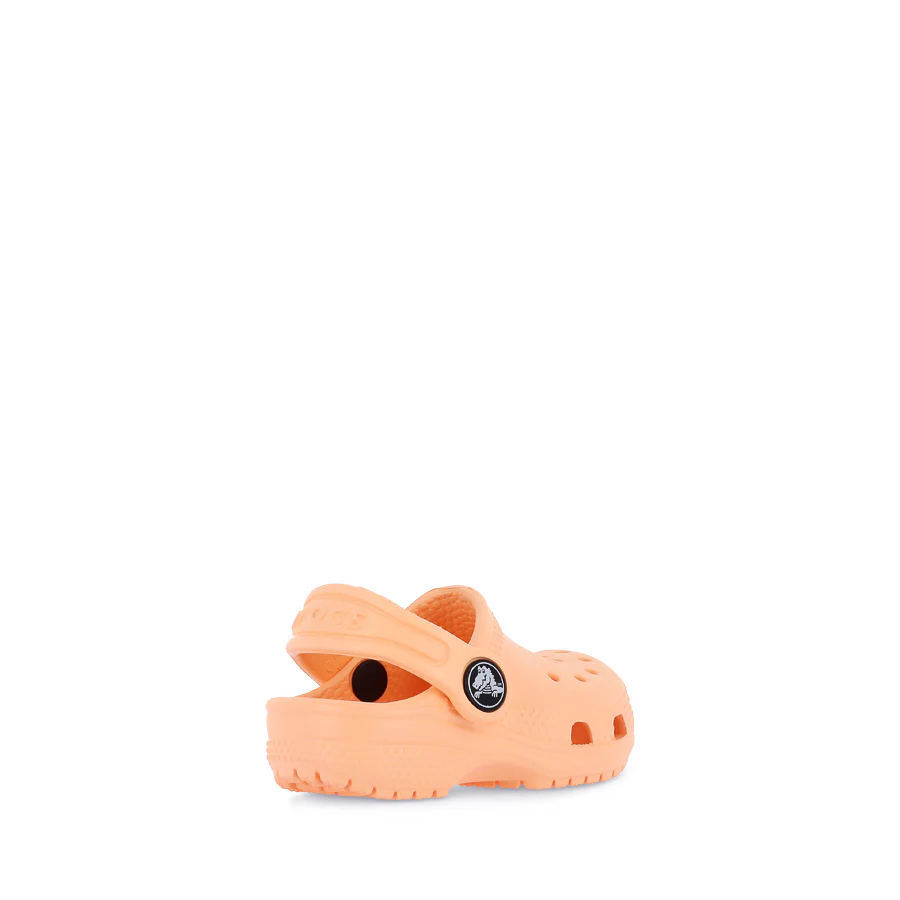 CLASSIC CLOG TODDLER W26 - ELECTRIC SUNSTONE - Image 4