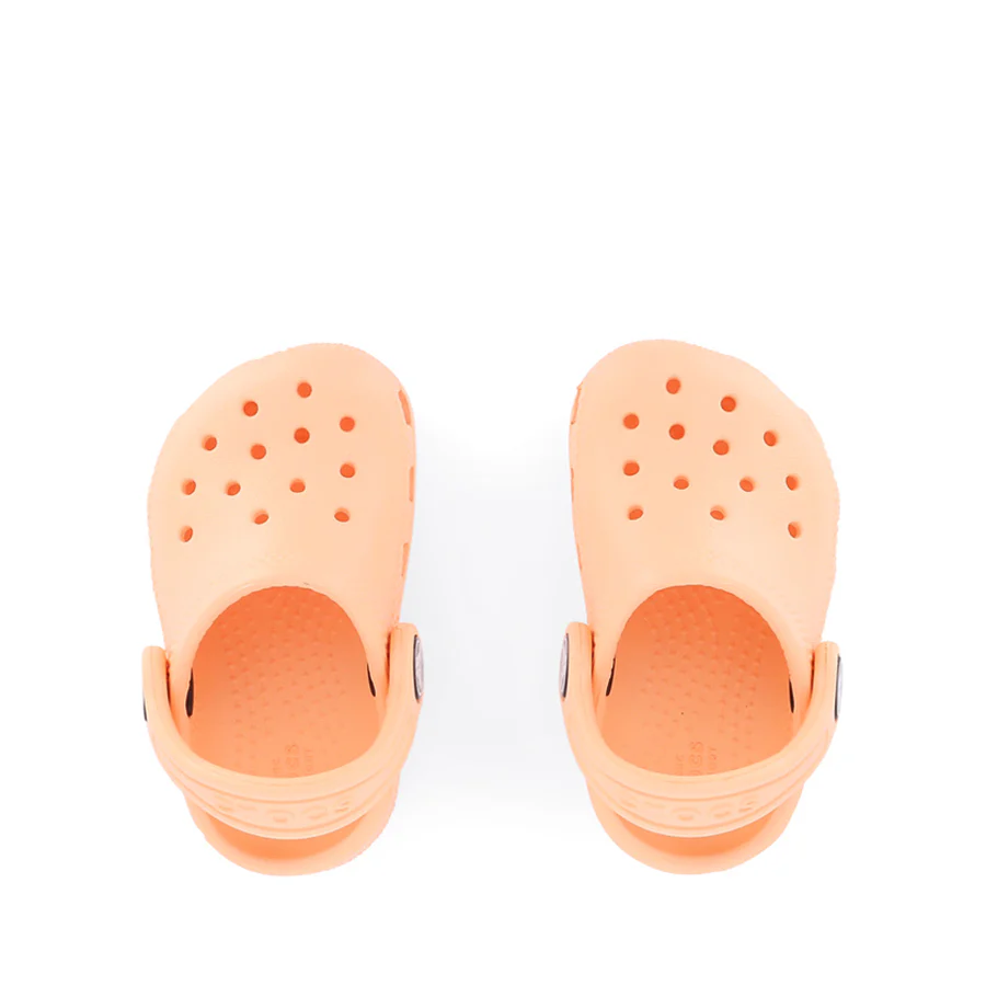 CLASSIC CLOG TODDLER W26 - ELECTRIC SUNSTONE - Image 5
