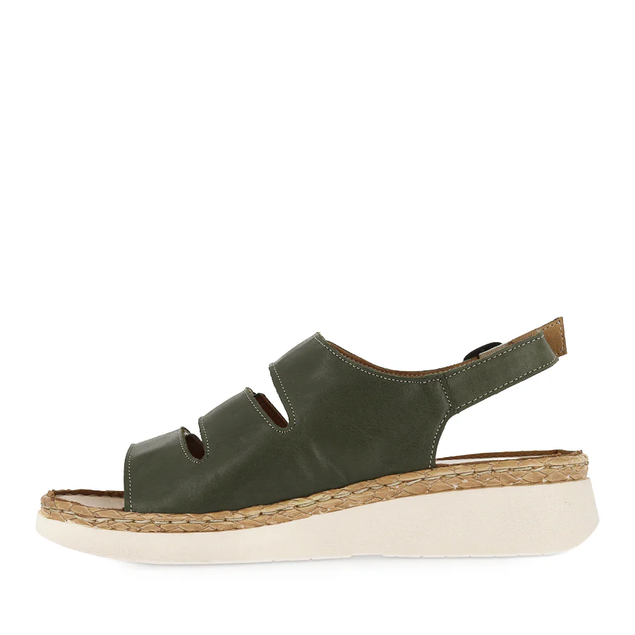 COAST - OLIVE LEATHER - Image 2