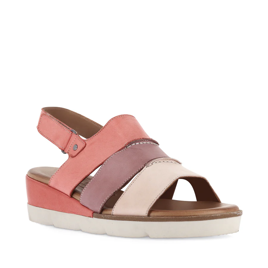 DION - PINK MULTI - Image 3