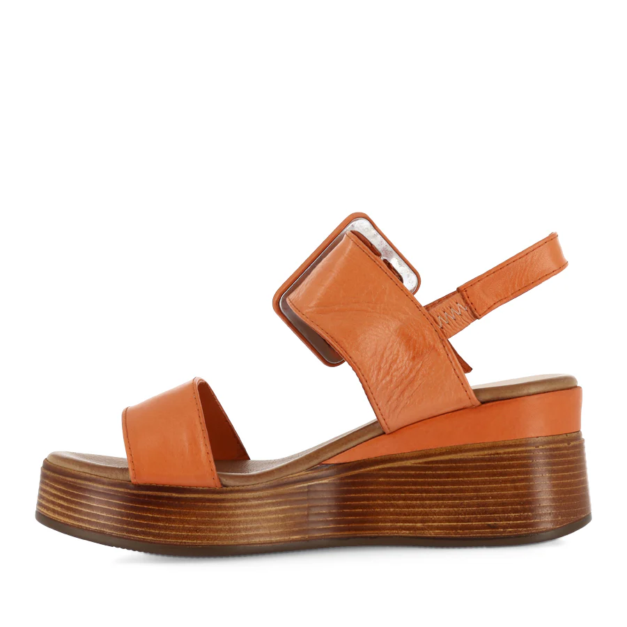DUTCH - PAPAYA LEATHER - Image 2
