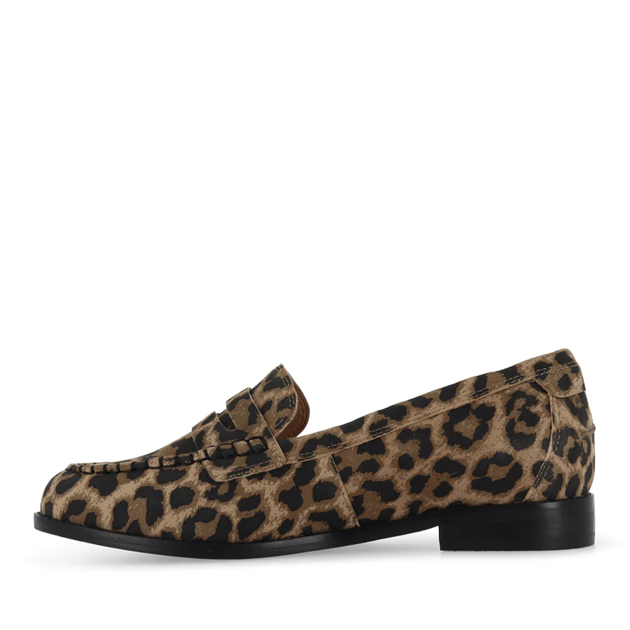 FRANKLIN - DARK LEOPARD SUEDE - Image 2