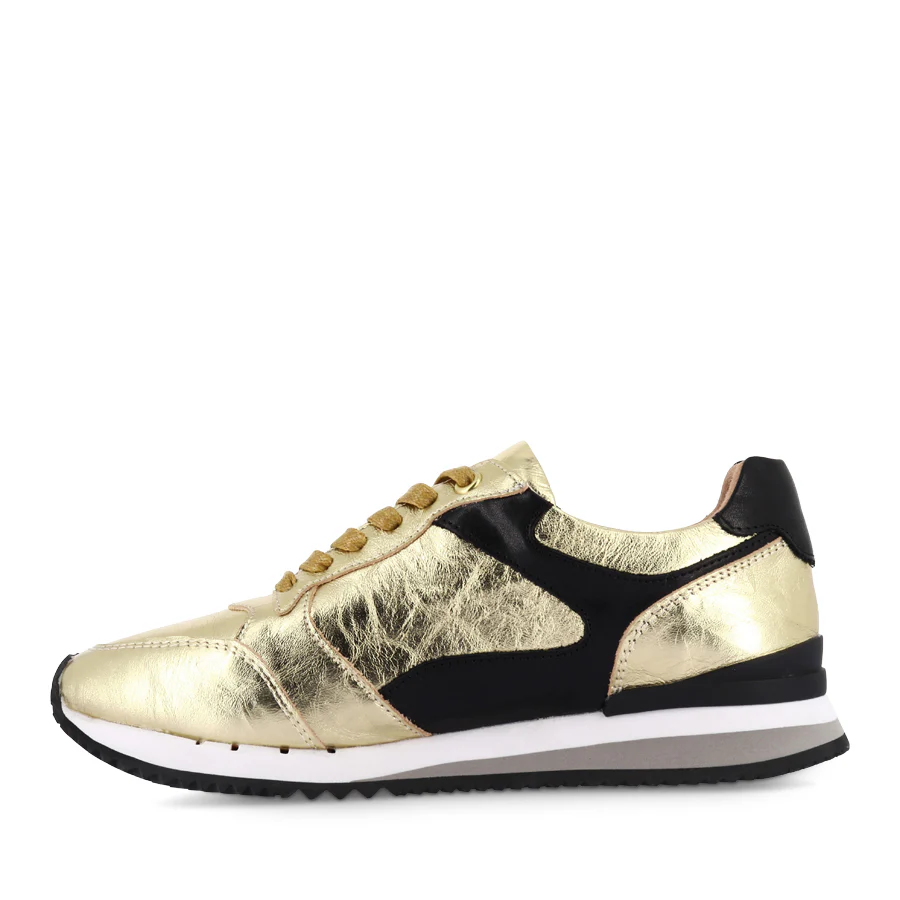 GINO - GOLD CRUSH COMBO - Image 2