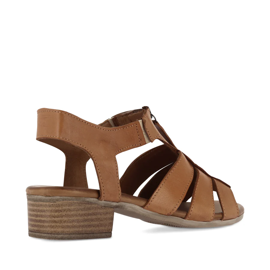 JOSY - COCONUT - Image 4