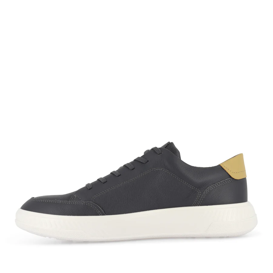 MOVE M 551604 - MAGNET LEATHER - Image 2