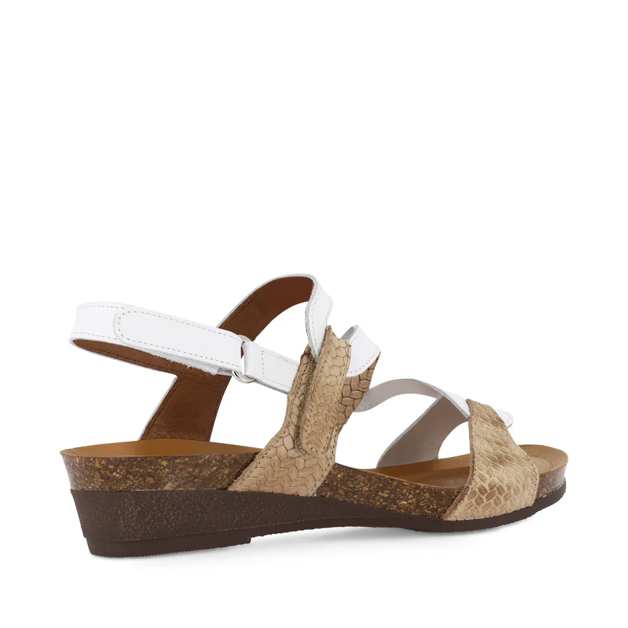 OSINA - BEIGE/WHITE MULTI - Image 4
