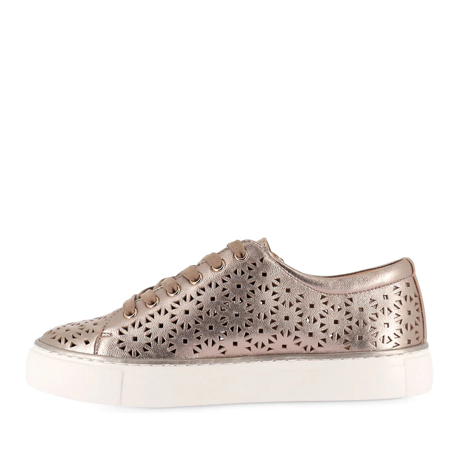 PANDOE XF - CHAMPAGNE LEATHER - Image 2