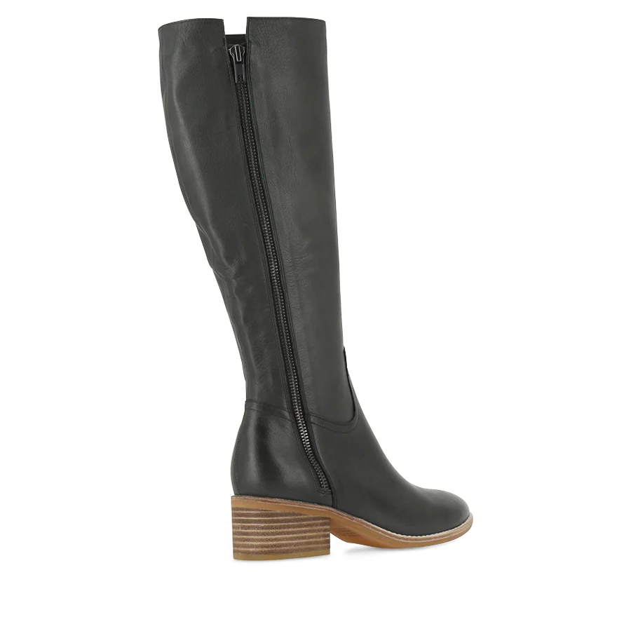 PECTOR - OLIVE LEATHER - Image 4