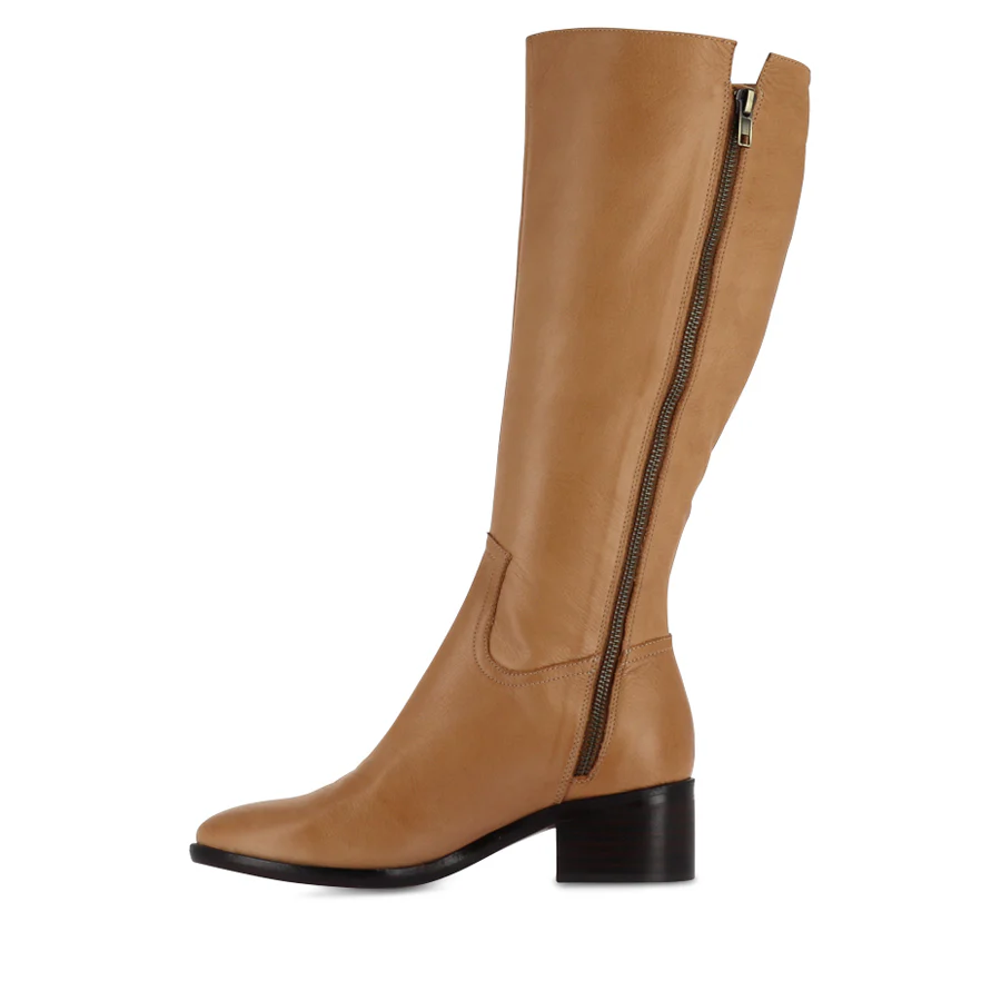PECTOR - TAN LEATHER - Image 2