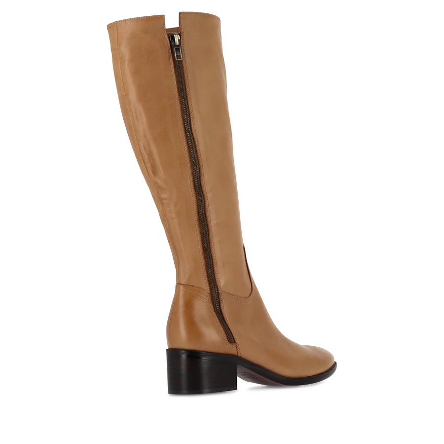 PECTOR - TAN LEATHER - Image 4