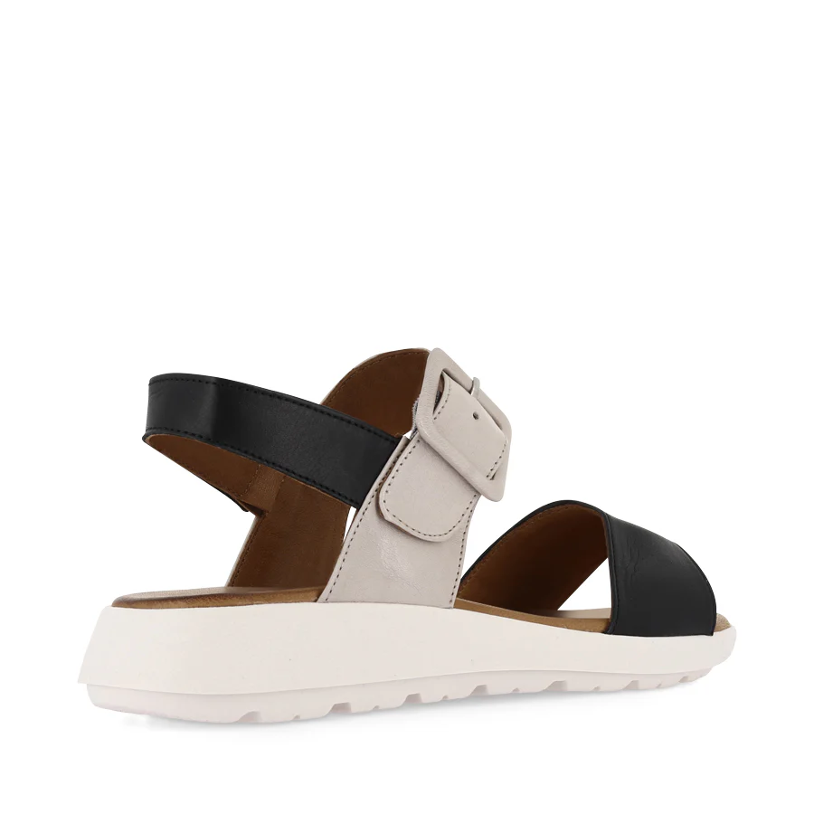 PEPE - BLACK LEATHER - Image 4