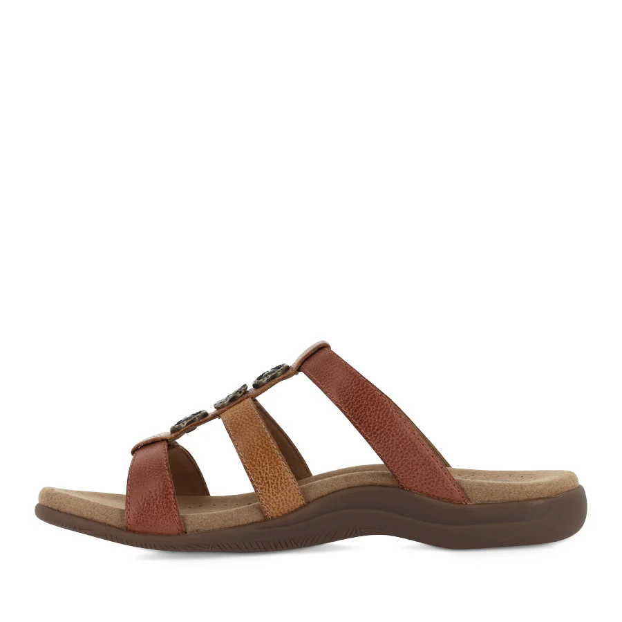 PRIZE 4 - HARVEST MULTI LEATHER - Image 2
