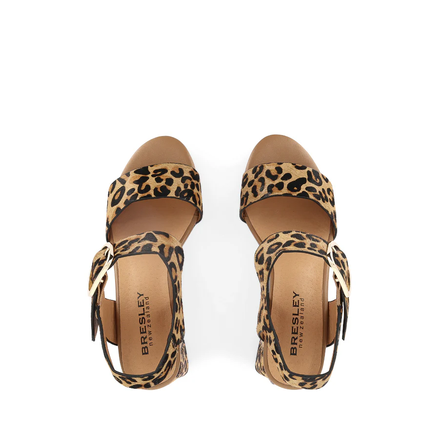 SCRIBE - DANGER LEOPARD - Image 5