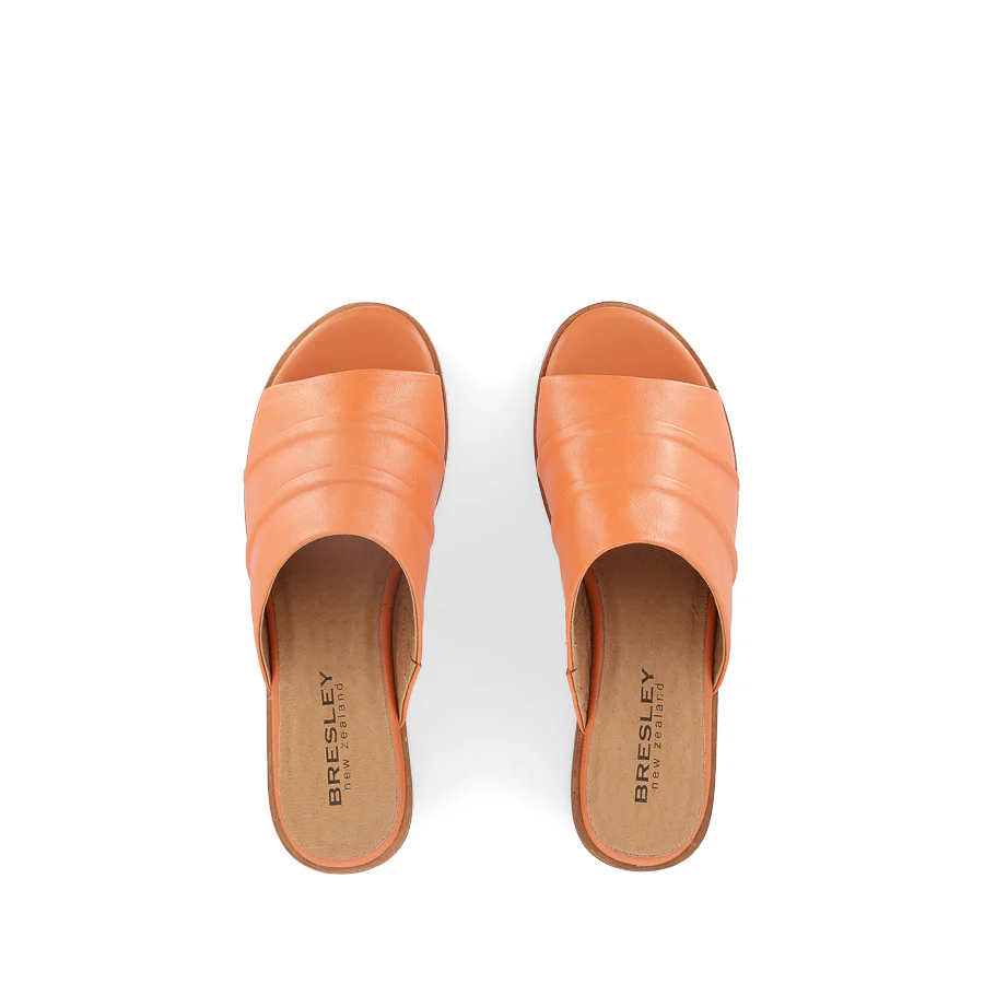 SPARTON - ORANGE LEATHER - Image 5