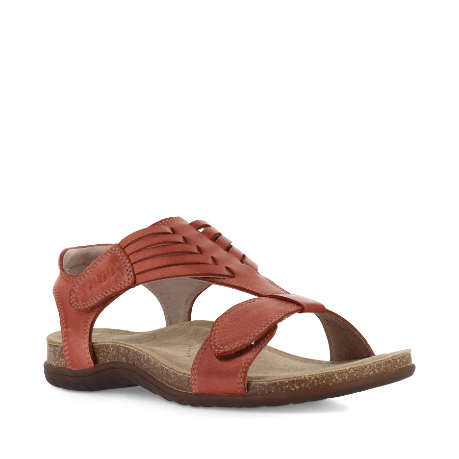 WONDERFUL - BRUSCHETTA LEATHER - Image 3
